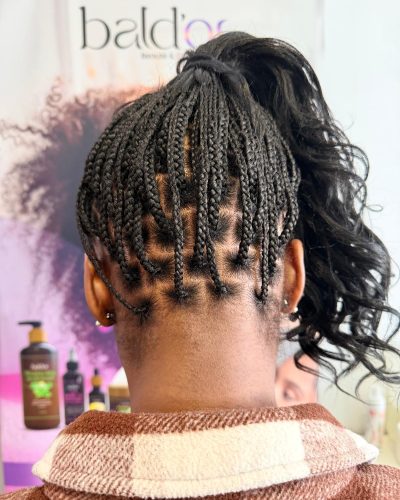 WhatsApp Image 2026-03-27 at 04.46.15